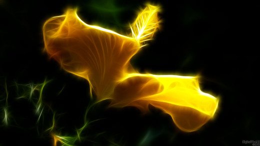 612932 (a): :1920x1080